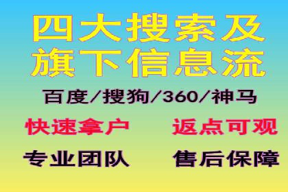 某知名企业SEM营销全案解析